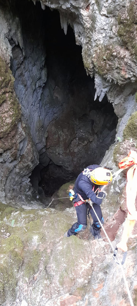 Nivel 2: Progresión Avanzada.