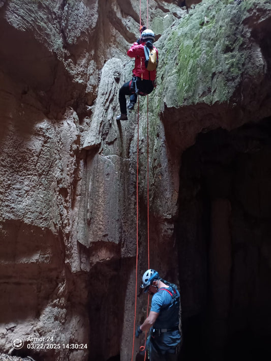 Nivel 1: Técnico Autónomo Vertical