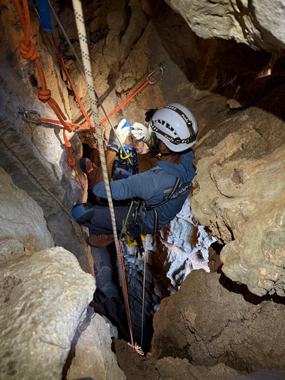 Nivel 1: Técnico Autónomo Vertical