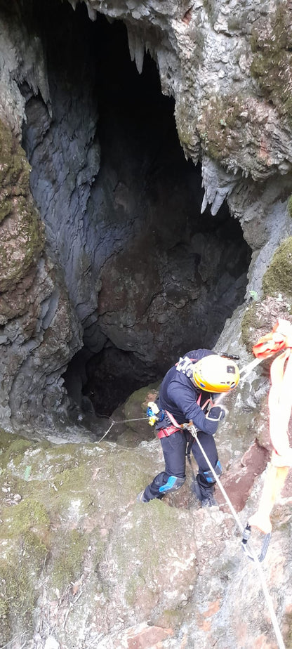 Nivel 2: Progresión Avanzada.