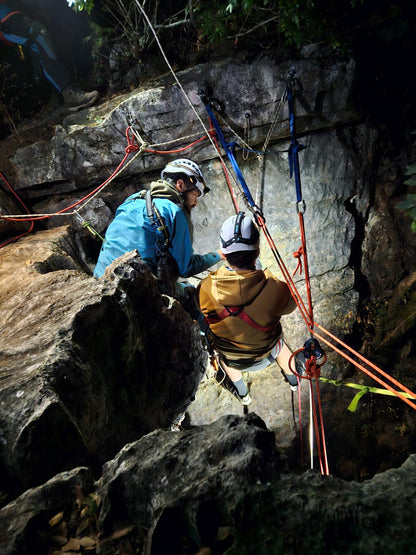 Nivel 2: Progresión Avanzada.
