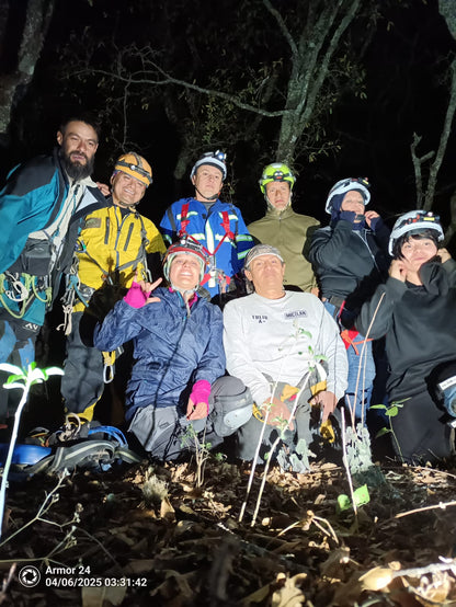 Nivel 2: Progresión Avanzada.